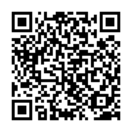 QR code for plate TYE 598