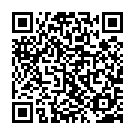 QR code for plate TYL 595