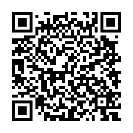 QR code for plate TYN 029