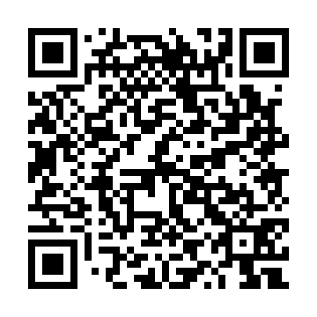 QR code for plate TYP 171