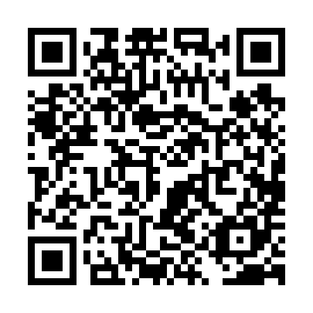 QR code for plate TYP 685