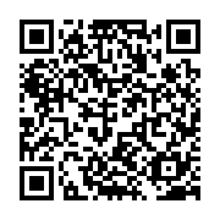 QR code for TYV 335