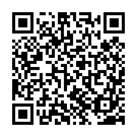 QR code for plate TZF 463