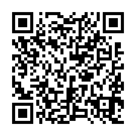 QR code for plate TZF 691