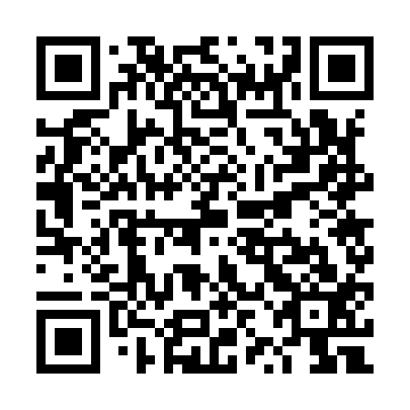 QR code for TZG 913