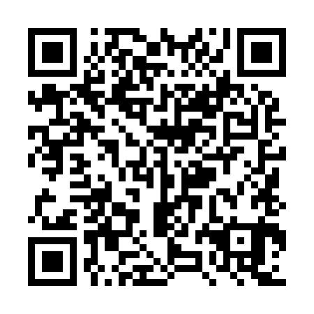 QR code for TZL 981