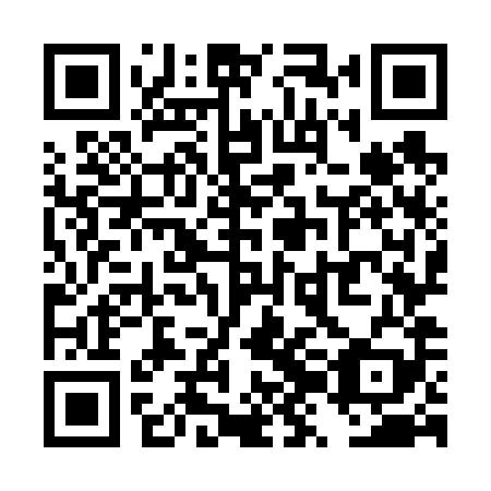 QR code for TZO 689