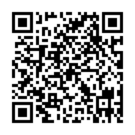 QR code for TZP939