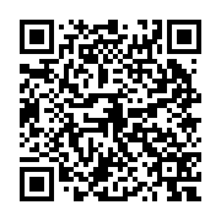 QR code for plate TZQ 276