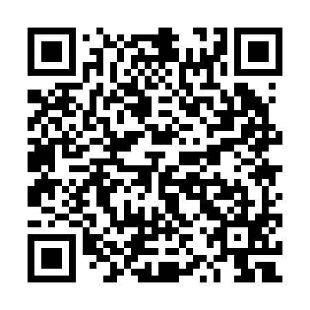 QR code for TZQ295