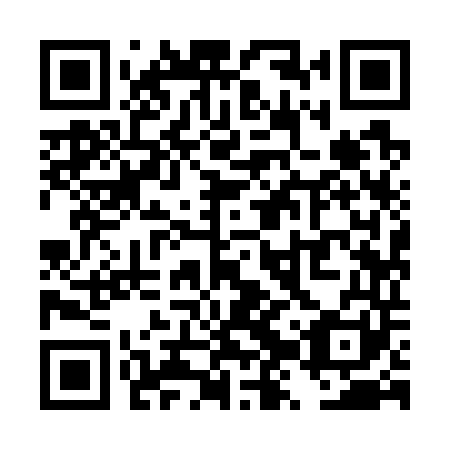 QR code for TZY 741