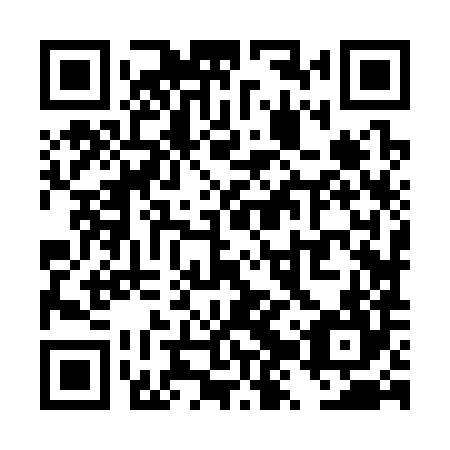 QR code for TZZ384