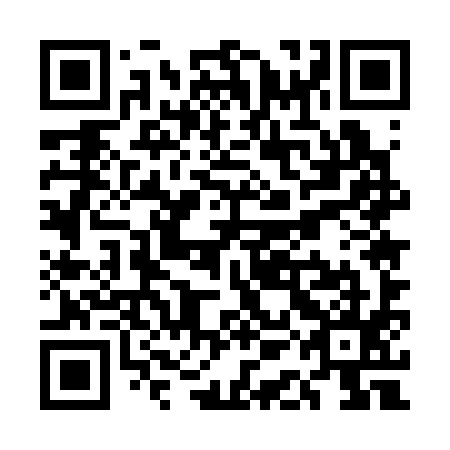 QR code for UAE 395