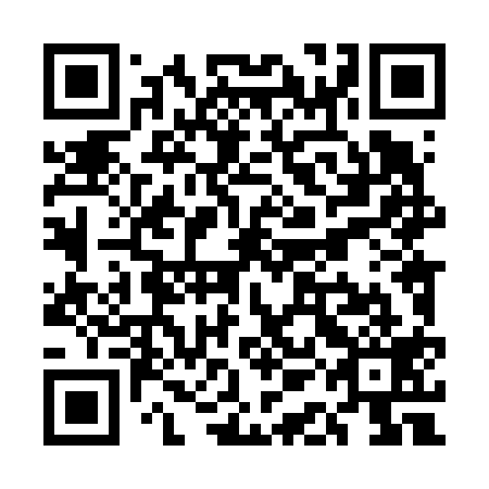 QR code for plate UAL 619