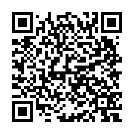QR code for plate UAM 676