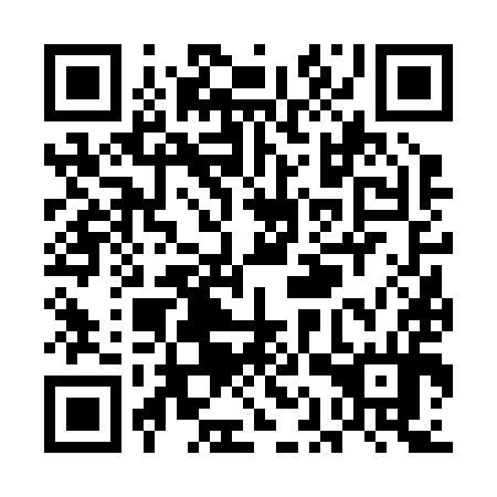 QR code for UAV 294