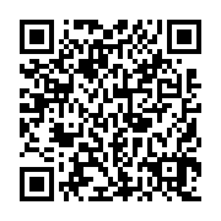 QR code for plate UBA 607