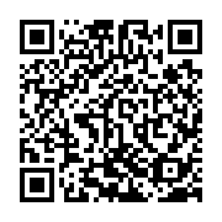 QR code for UBF 738