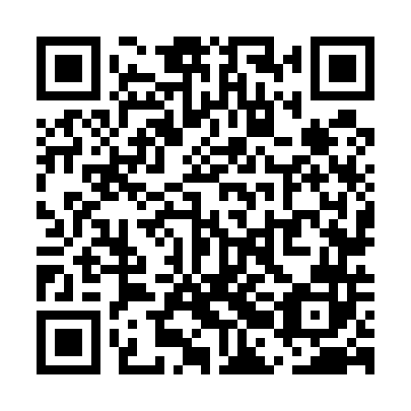 QR code for plate UBN 542