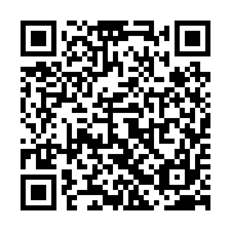 QR code for UBS 217
