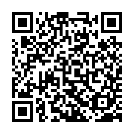 QR code for plate UBS 241