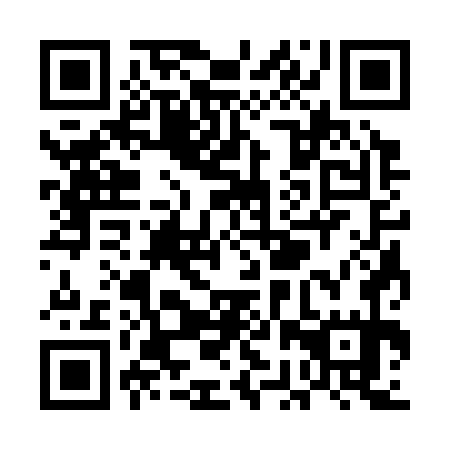 QR code for plate UBS 375