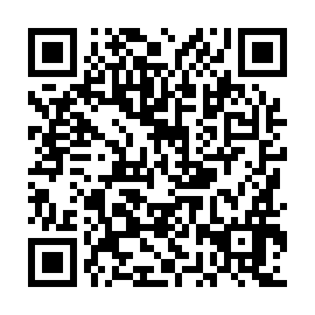 QR code for UBX 196