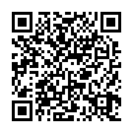 QR code for plate UCZ 228