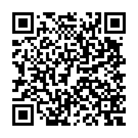 QR code for UDE 459