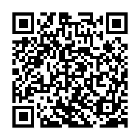QR code for plate UDE 173
