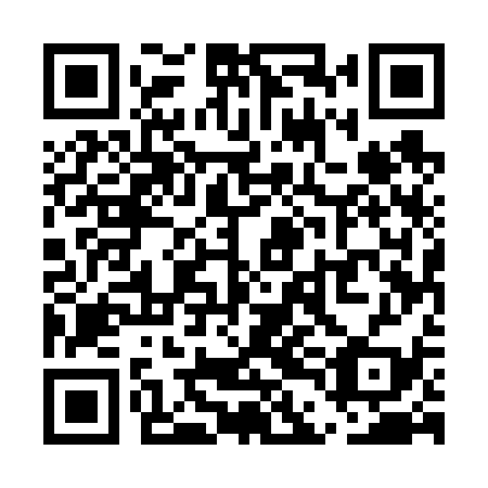 QR code for plate UDE 639
