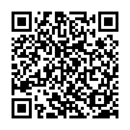 QR code for UDG 161