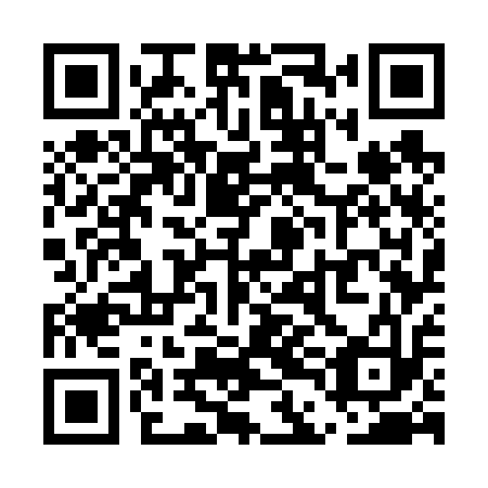 QR code for UDG 613