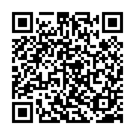 QR code for plate UDG 003