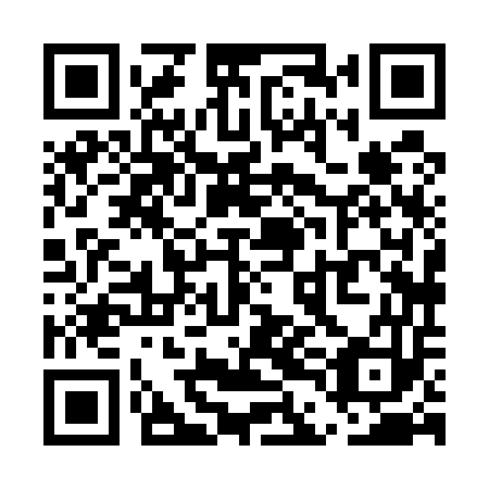 QR code for plate UDH 553