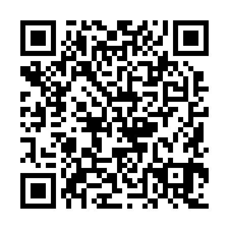 QR code for UDI 281