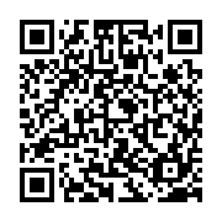QR code for UDI 314