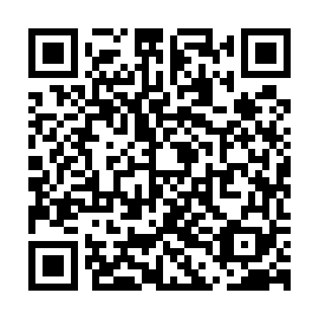 QR code for UDI 569