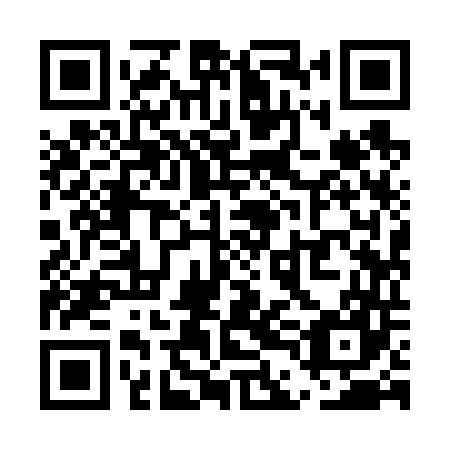 QR code for UDI 647