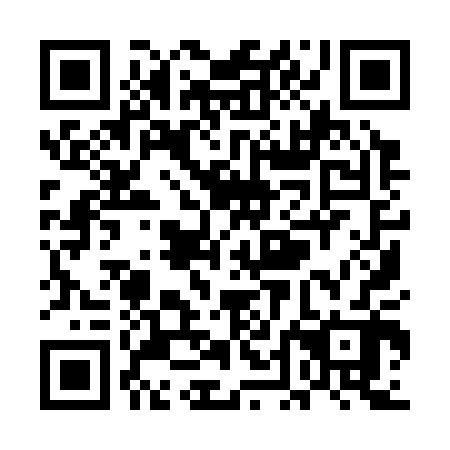 QR code for UDI302