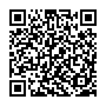 QR code for plate UDJ 290