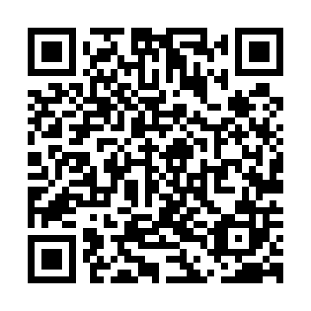 QR code for plate UDL 502