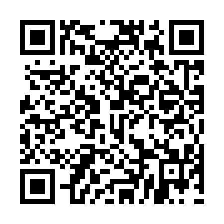 QR code for UDM 911