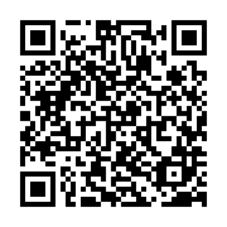 QR code for plate UDM 382