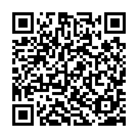 QR code for UDN 795
