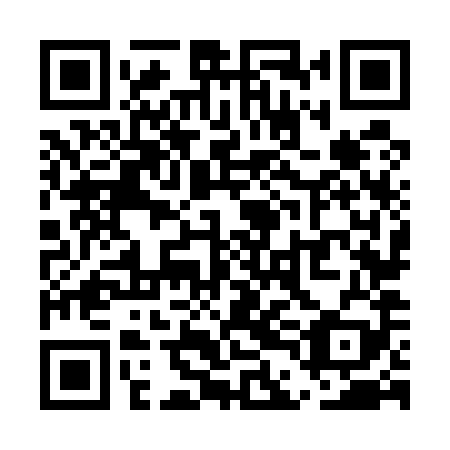 QR code for plate UDN 589