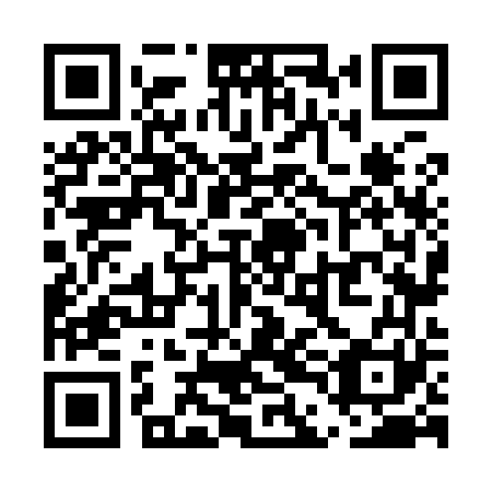 QR code for plate UDN 961