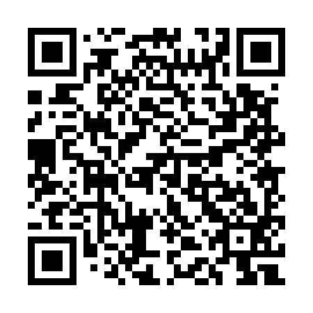 QR code for UDP 593