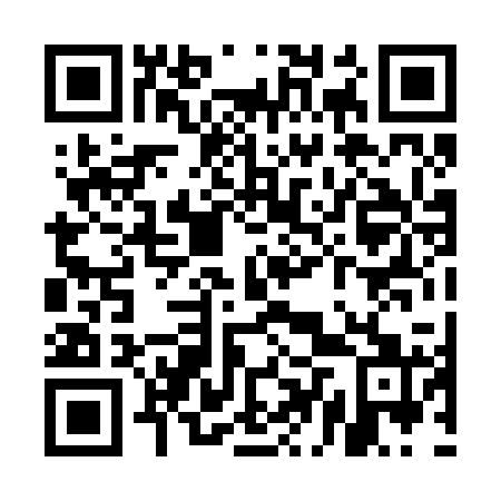 QR code for UDP221