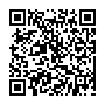 QR code for plate UDR 385